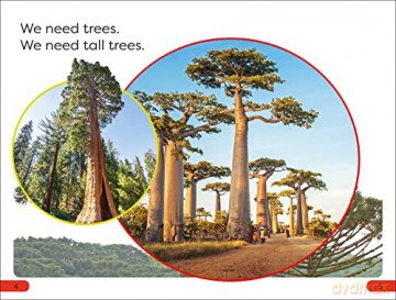 Dk Super Readers Pre Level Save/Trees - Dk [KSIĄŻKA]