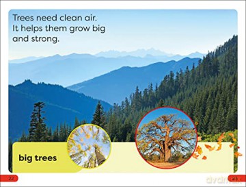 Dk Super Readers Pre Level Save/Trees - Dk [KSIĄŻKA]