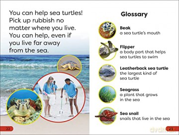 Dk Super/Pre Level Save The Sea Turtles - Dk [KSIĄŻKA]