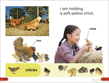 Day At The Petting Zoo Pre Level [KSIĄŻKA]