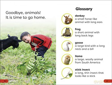 Day At The Petting Zoo Pre Level [KSIĄŻKA]