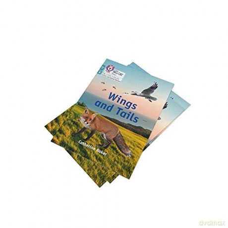 Big Cat Phonics For Little Wandle Letter - Emil Guille-Marrett [KSIĄŻKA]