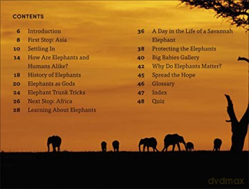Hope For The Elephants Level 4 [KSIĄŻKA]