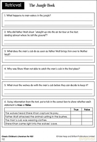 Developing Reading Comprehension Skills - Kate Heap [KSIĄŻKA]