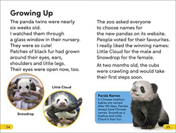 Great Panda Tale Level 2 [KSIĄŻKA]