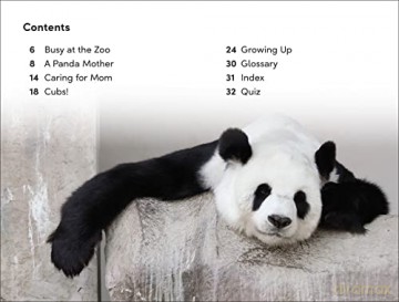 Great Panda Tale Level 2 [KSIĄŻKA]