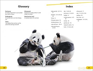 Great Panda Tale Level 2 [KSIĄŻKA]