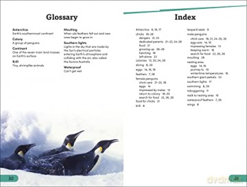 Emperor Penguins Level 3 [KSIĄŻKA]