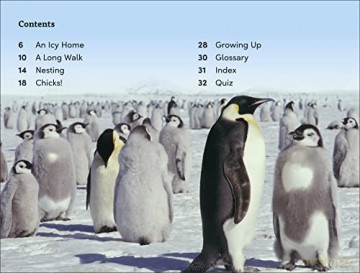 Emperor Penguins Level 3 [KSIĄŻKA]