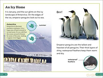Emperor Penguins Level 3 [KSIĄŻKA]