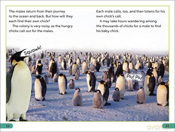 Emperor Penguins Level 3 [KSIĄŻKA]