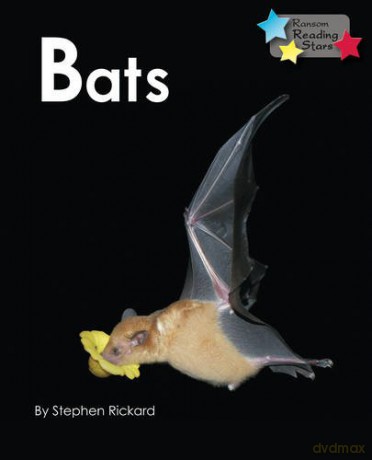Bats - Stephen Rickard [KSIĄŻKA]
