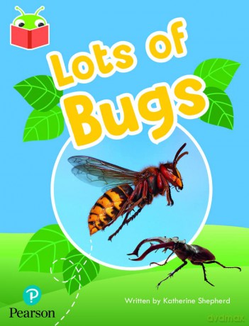 Bug Club Independent Phase 2 Unit 5 Lo [KSIĄŻKA]