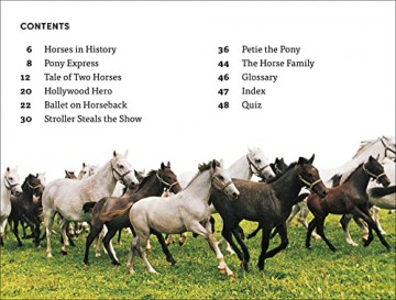 Dk Super Readers Level 4 Horse Heroes - Dk [KSIĄŻKA]