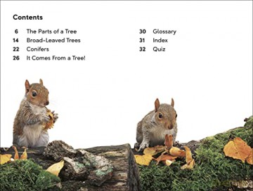 Dk Super Readers Level 2/Life Of Trees - Dk [KSIĄŻKA]
