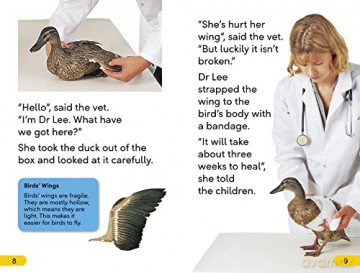Animal Hospital Level 2 - Dk [KSIĄŻKA]