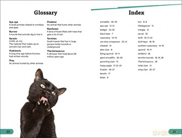 Dk Super Readers Level 3 Claws - Dk [KSIĄŻKA]