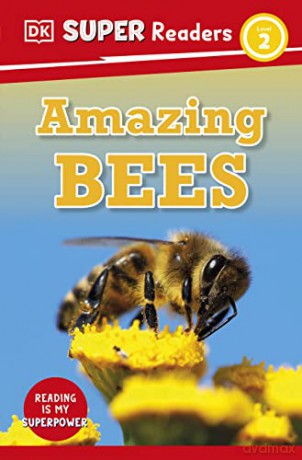 Amazing Bees - Dk [KSIĄŻKA]