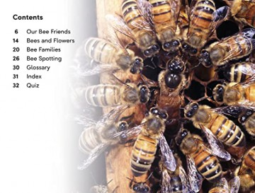 Amazing Bees - Dk [KSIĄŻKA]