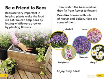 Amazing Bees - Dk [KSIĄŻKA]