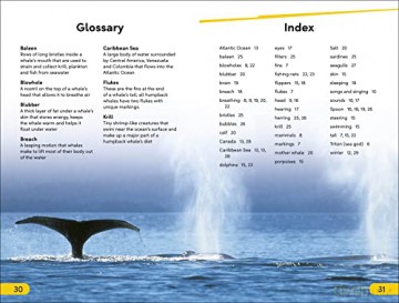 Dk Super Readers Level 2/Humpback Whale - Dk [KSIĄŻKA]