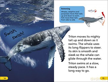 Dk Super Readers Level 2/Humpback Whale - Dk [KSIĄŻKA]
