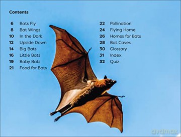 Dk Super Readers Level 1 All About Bats - Dk [KSIĄŻKA]