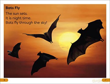 Dk Super Readers Level 1 All About Bats - Dk [KSIĄŻKA]