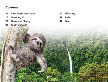 Dk Super Readers Level 2 Sloths - Dk [KSIĄŻKA]
