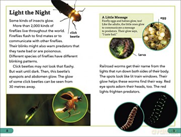 Bioluminescent Animals Level 3 [KSIĄŻKA]