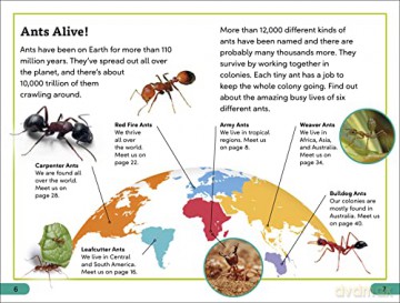Ant Antics Level 3 [KSIĄŻKA]
