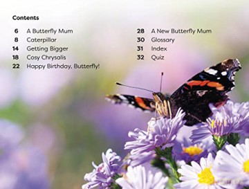 Becoming A Butterfly - Dk [KSIĄŻKA]