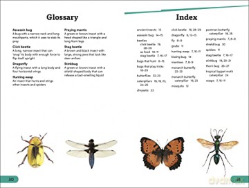 Dk Super Readers Level 3 Bugs Bugs Bugs - Dk [KSIĄŻKA]