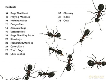 Dk Super Readers Level 3 Bugs Bugs Bugs - Dk [KSIĄŻKA]