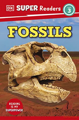 Fossils - Dk [KSIĄŻKA]