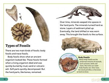 Fossils - Dk [KSIĄŻKA]