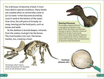 Dinosaurs Discovered Level 3 [KSIĄŻKA]