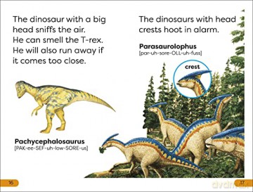 Dinosaurs Day Level 1 [KSIĄŻKA]