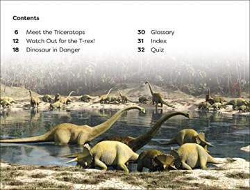 Dinosaurs Day Level 1 [KSIĄŻKA]