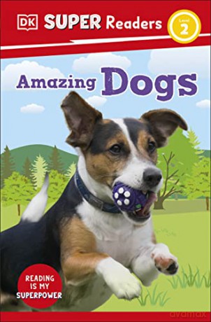 Amazing Dogs Level 2 [KSIĄŻKA]