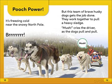 Amazing Dogs Level 2 [KSIĄŻKA]