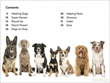 Amazing Dogs Level 2 [KSIĄŻKA]