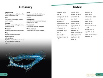 Deep Sea Creatures Level 3 - Dk [KSIĄŻKA]