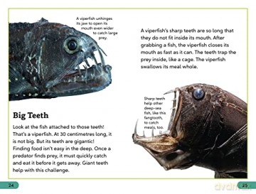 Deep Sea Creatures Level 3 - Dk [KSIĄŻKA]