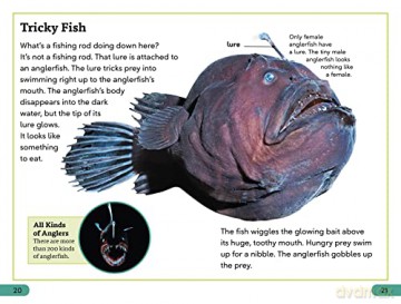 Deep Sea Creatures Level 3 - Dk [KSIĄŻKA]