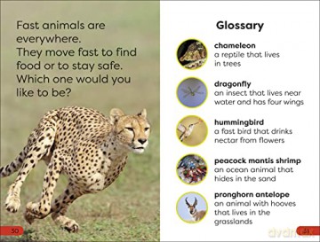 Fast Animals Pre Level - Dk [KSIĄŻKA]