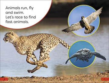 Fast Animals Pre Level - Dk [KSIĄŻKA]