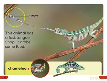 Fast Animals Pre Level - Dk [KSIĄŻKA]