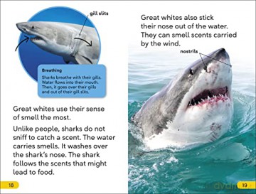 Great White Sharks Level 2 - Dk [KSIĄŻKA]
