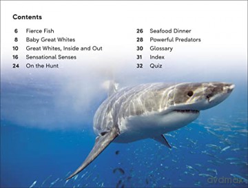 Great White Sharks Level 2 - Dk [KSIĄŻKA]